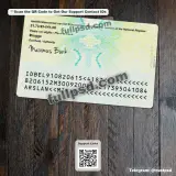 Belgium Adult ID Card PSD back side preview