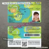Belgium Child ID Card PSD front and back view design preview available for download