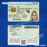 Belgium ID Card PSD V1 front and back view editable layout for digital download