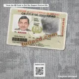 Bolivia ID Card PSD front view document example