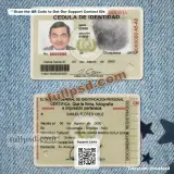 Bolivia ID Card PSD two-sided design preview available for download