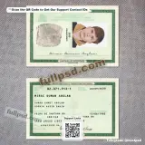 Brazil Brasil ID Card PSD V1 two-sided reference preview