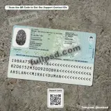 Brazil Brasil ID Card PSD V3 back document example