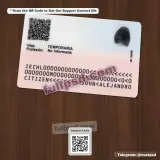 Chile ID Card PSD back preview