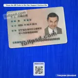 China ID Card PSD V1 front view picture example available for download
