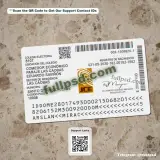 Dominican Republic ID Card PSD back reference preview