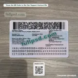 El Salvador ID Card PSD back picture for digital download