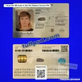 Estonia ID Card PSD V2 two-sided high quality preview