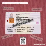 Georgia ID Card PSD V1 back view example
