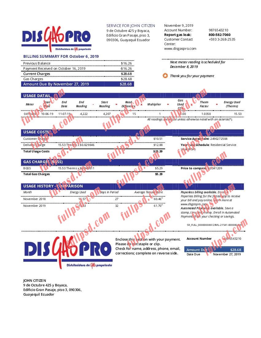 download Ecuador Disgaspro gas utility bill pdf and word template