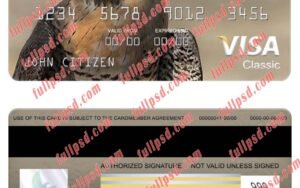 download Pakistan The Bank of Khyber bank visa classic card psd template
