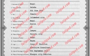 download Pakistan Birth certificate PSD Template fully editable