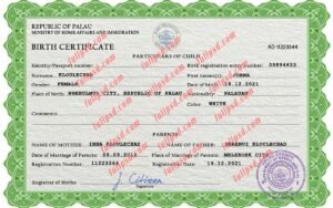 download Palau Birth certificate PSD Template fully editable