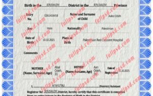 download Palestine Birth certificate PSD Template fully editable