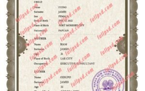 download Papua New Guinea Birth certificate PSD Template fully editable