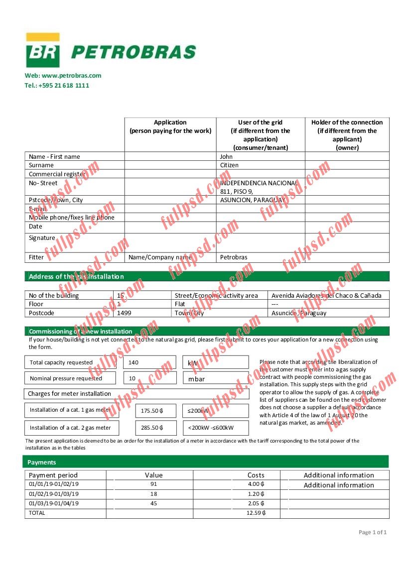 download Paraguay Petrobras Paraguay Operations and Logistics gas company utility bill pdf and word template