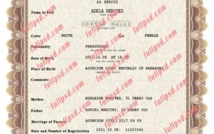 download Paraguay Birth certificate PSD Template fully editable