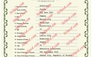 download Poland Birth certificate PSD Template fully editable