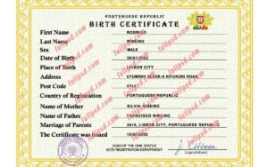 download Portugal Birth certificate PSD Template fully editable