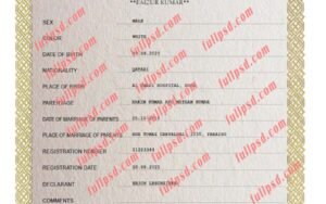 download Qatar Birth certificate PSD Template fully editable