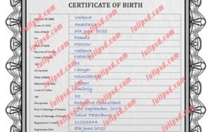 download Russia Birth certificate V2 PSD Template fully editable