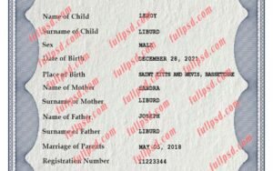 download Saint Kitts and Nevis Birth certificate PSD Template fully editable