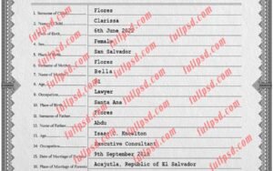 download Salvador Birth certificate PSD Template fully editable