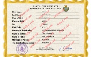 download Samoa Birth certificate PSD Template fully editable