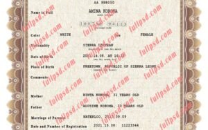 download Sierra Leone Birth certificate PSD Template fully editable