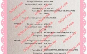 download Singapore Birth certificate PSD Template fully editable