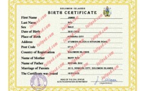 download Solomon Islands Birth certificate PSD Template fully editable