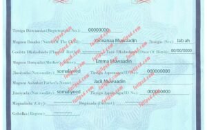 download Somali Birth certificate PSD Template fully editable
