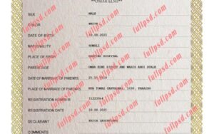 download Somalia Birth certificate PSD Template fully editable