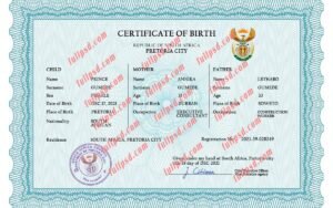 download South Africa Birth certificate PSD Template fully editable