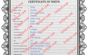 download South Korea Birth certificate PSD Template fully editable