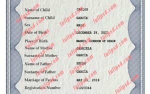 download Spain Birth certificate PSD Template fully editable