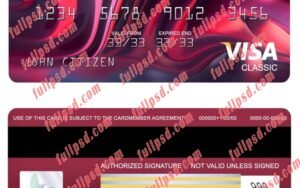 download USA New York CFSB bank visa classic card psd template